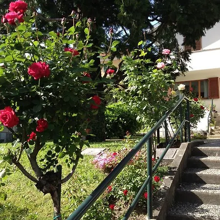 Apartment Lago Di Como Appartamento Mary Bellagio